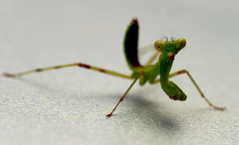 b0069366_741181.jpg