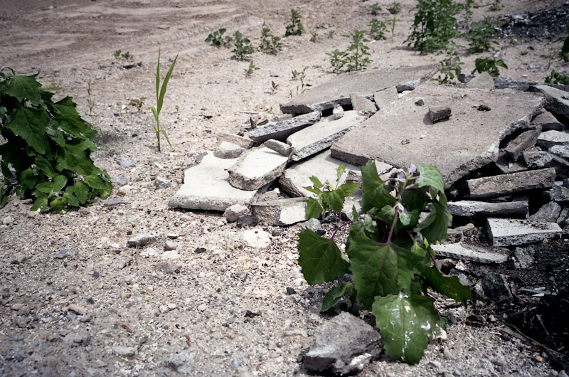 c0084666_6512690.jpg