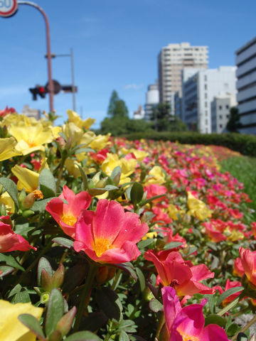 e0045768_2235591.jpg