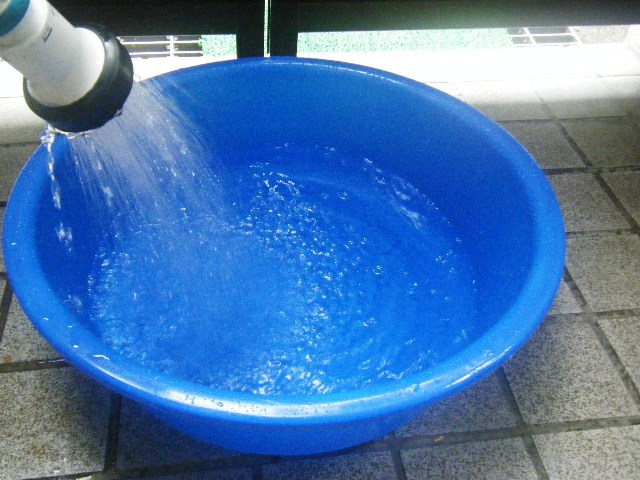 f0207970_917922.jpg