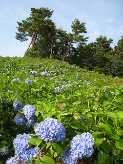 a0038882_938177.jpg