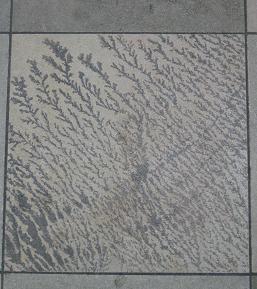 e0130185_11463962.jpg