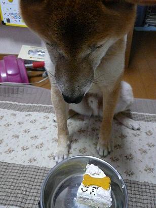 c0123890_2151039.jpg