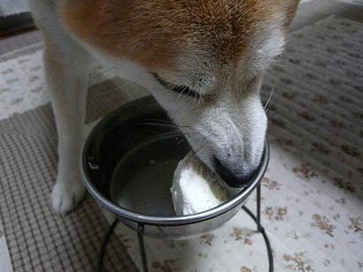 c0123890_21512840.jpg