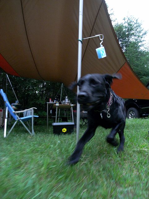 a0093592_21505191.jpg