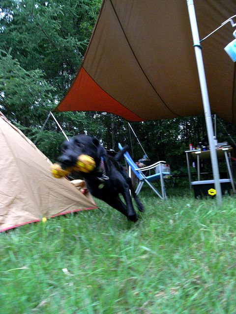 a0093592_21513866.jpg