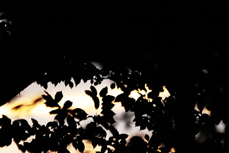 d0133693_10264312.jpg