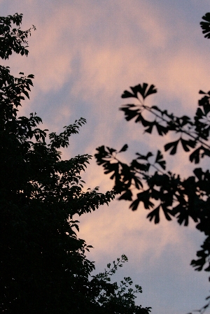 d0133693_10265115.jpg