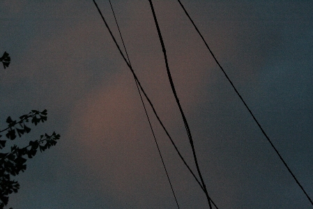 d0133693_10271393.jpg
