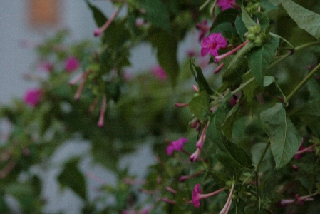 d0133693_10275650.jpg