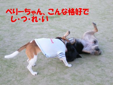 a0137294_2248687.jpg