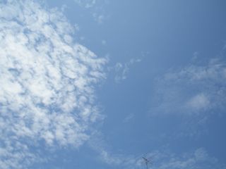 f0130894_22164147.jpg