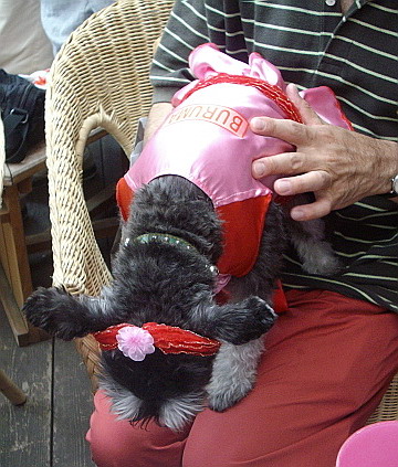 c0138198_22483742.jpg