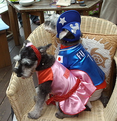 c0138198_2250978.jpg