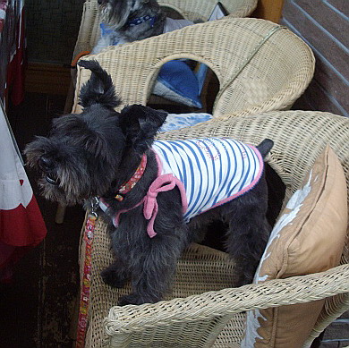 c0138198_2254142.jpg