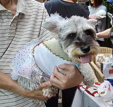 c0138198_22593361.jpg