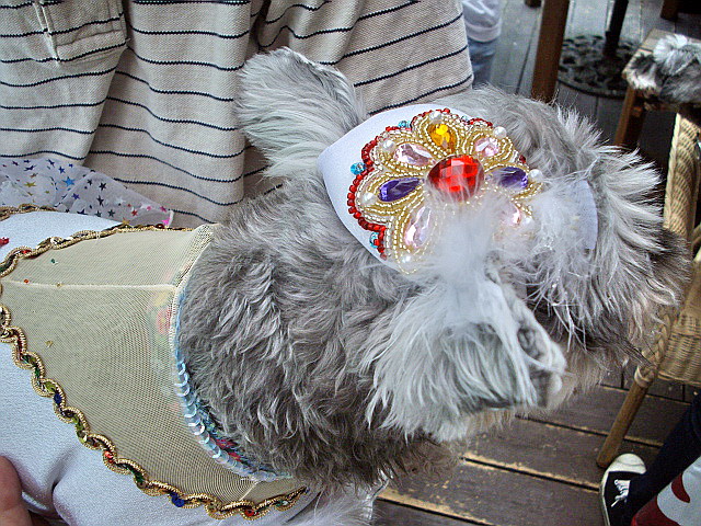 c0138198_231819.jpg
