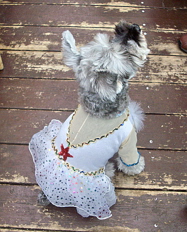 c0138198_2361878.jpg