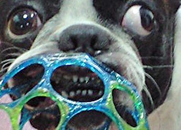 c0094999_19441173.jpg