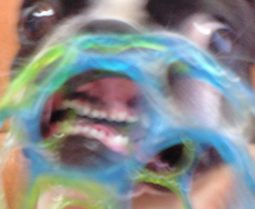 c0094999_19444527.jpg