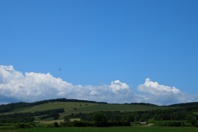 d0051707_195435.jpg