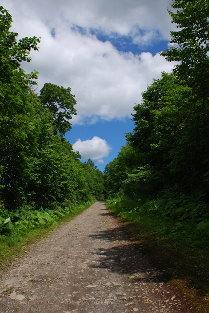 d0051707_19544547.jpg