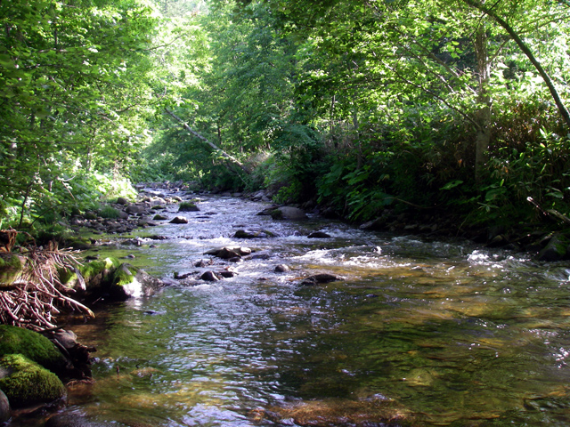 d0051707_2004712.jpg