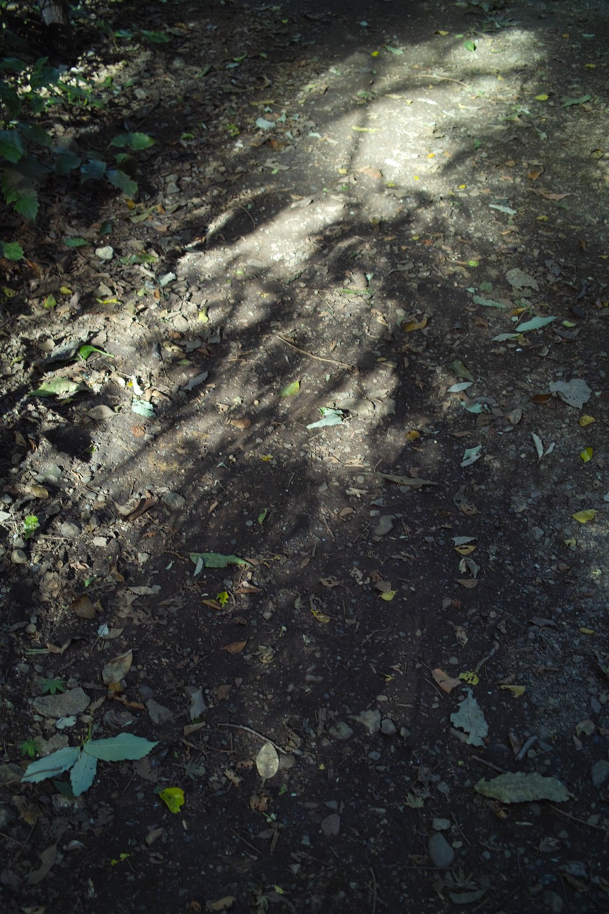 b0137311_23185940.jpg