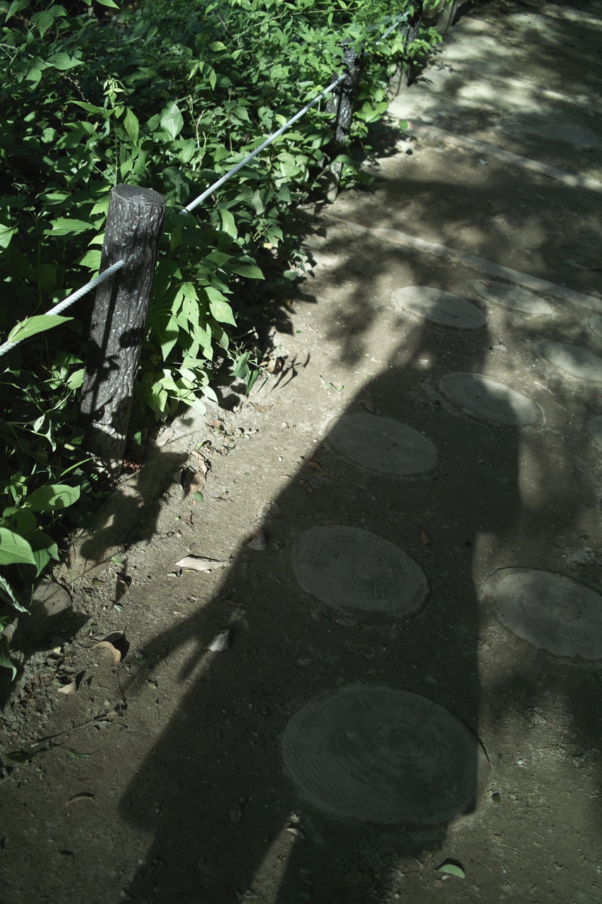 b0137311_23193852.jpg