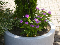 f0208812_11553464.jpg
