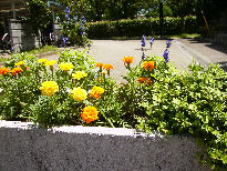 f0208812_1155953.jpg