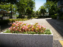 f0208812_11595983.jpg