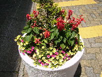 f0208812_1211334.jpg