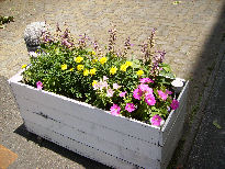 f0208812_122944.jpg
