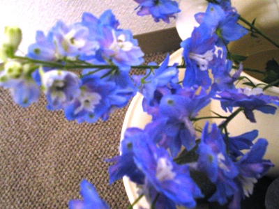 e0117613_1132951.jpg