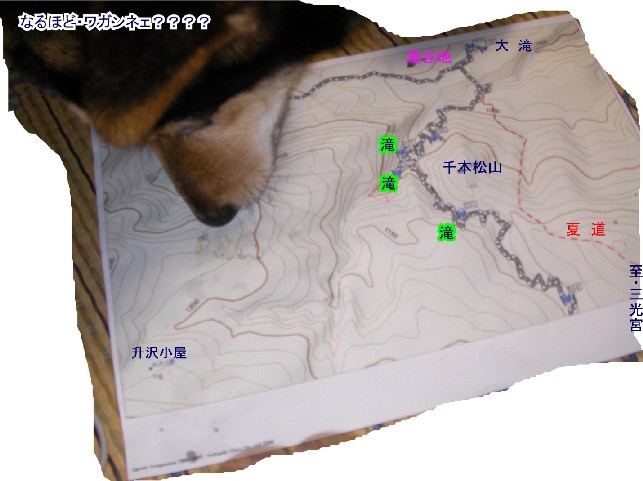 a0127015_21244360.jpg