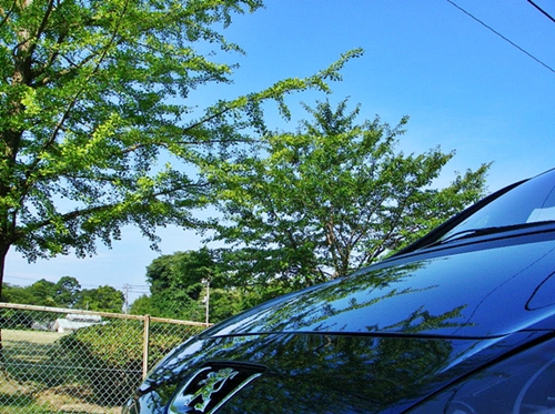 d0144618_21394764.jpg