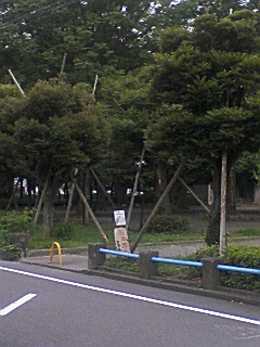 f0050523_20293841.jpg