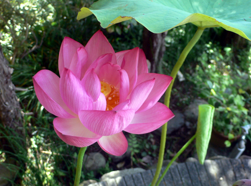 f0060424_13202390.jpg