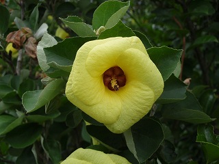 b0008825_1455285.jpg