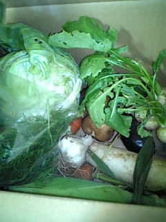 c0173826_20113019.jpg