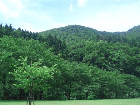 b0181027_10341850.jpg