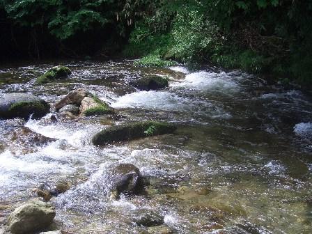 b0181027_1165857.jpg