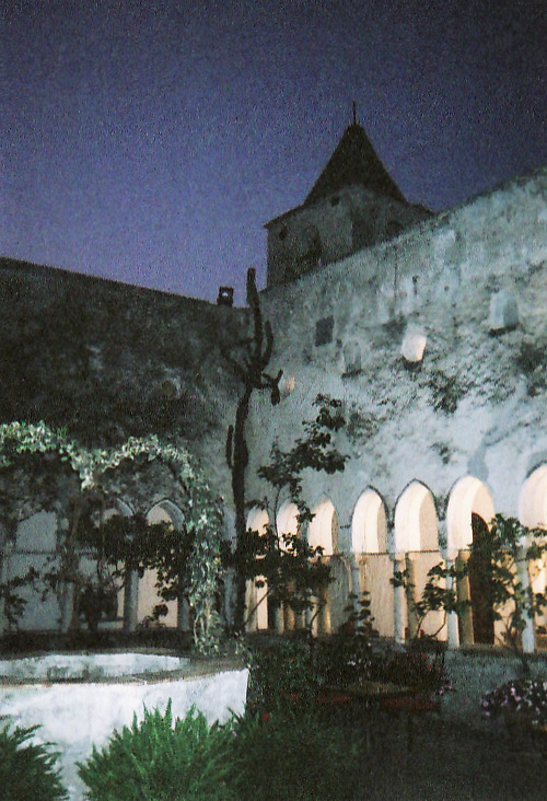 d0147727_21225318.jpg