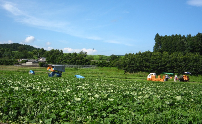 f0042737_10513691.jpg