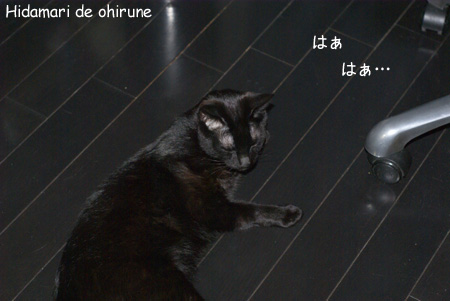 c0132438_22421394.jpg