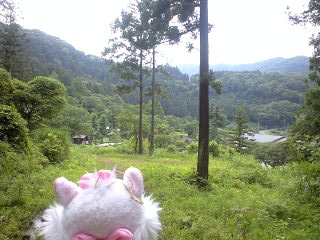 d0107938_1105186.jpg