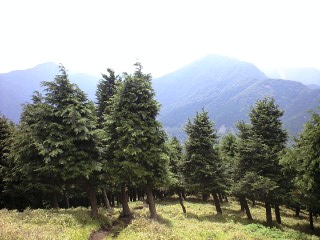 d0107938_11112614.jpg