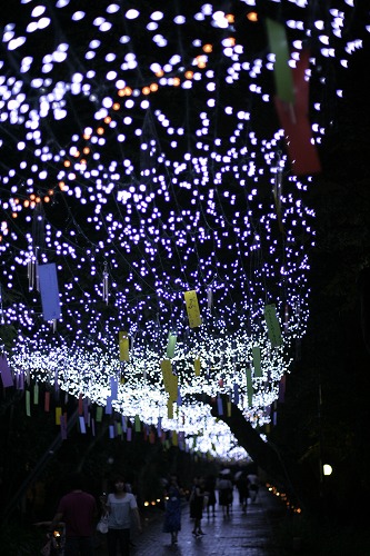 c0083439_23375966.jpg