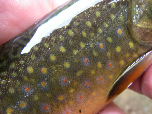 f0053342_13241067.jpg